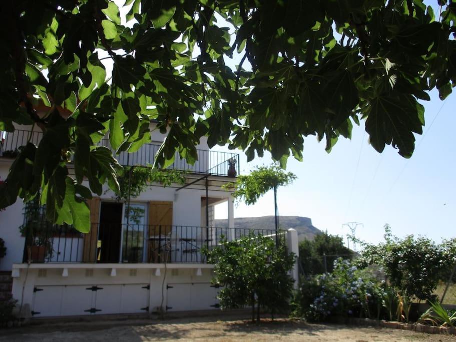 Casa La Higuera Chulilla Exterior foto