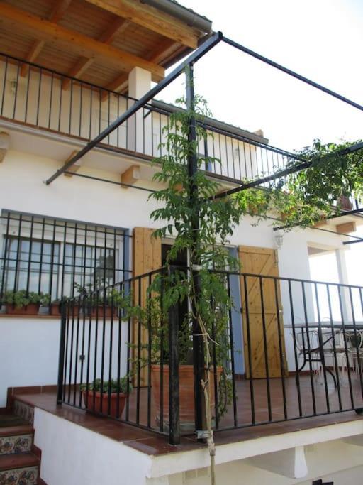 Casa La Higuera Chulilla Exterior foto