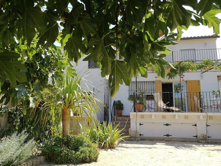 Casa La Higuera Chulilla Exterior foto