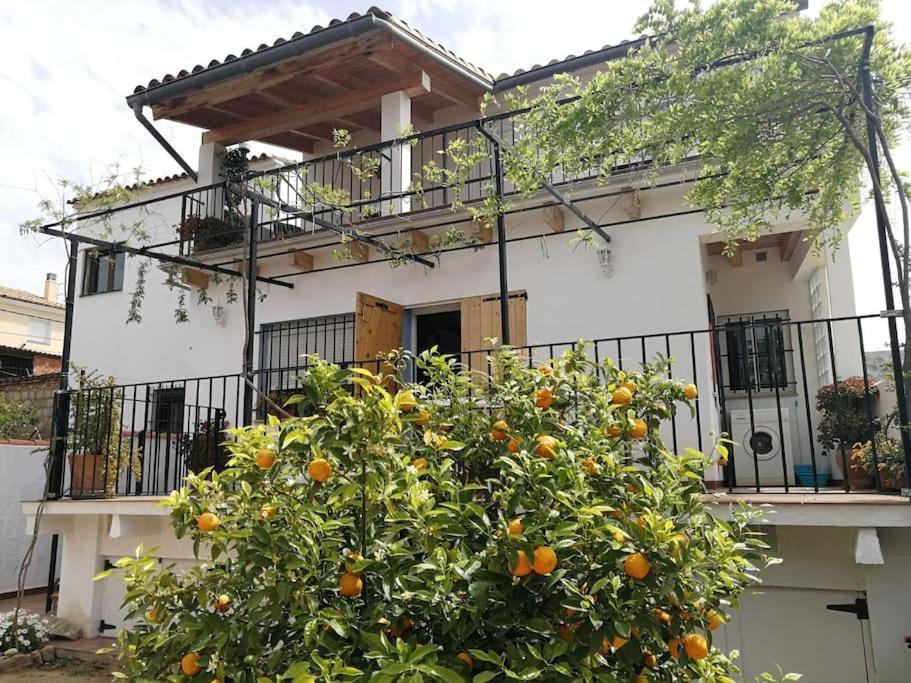 Casa La Higuera Chulilla Exterior foto